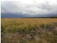 301 Robinsons Rd, Young NSW 2594