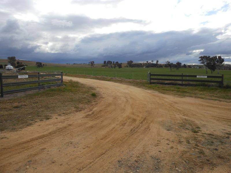 301 Robinsons Rd, Young NSW 2594