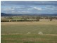 301 Robinsons Rd, Young NSW 2594