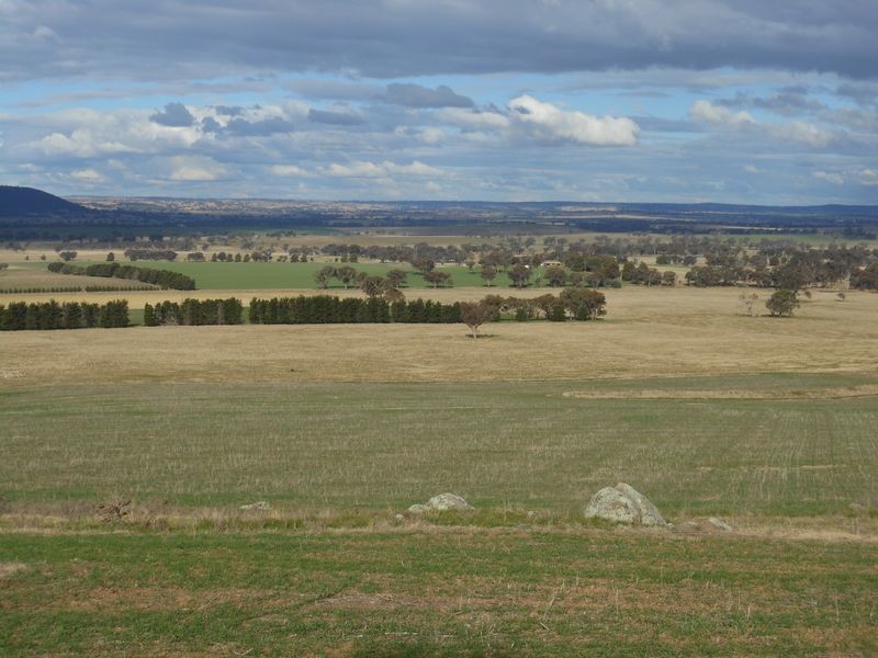 301 Robinsons Rd, Young NSW 2594