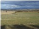 301 Robinsons Rd, Young NSW 2594