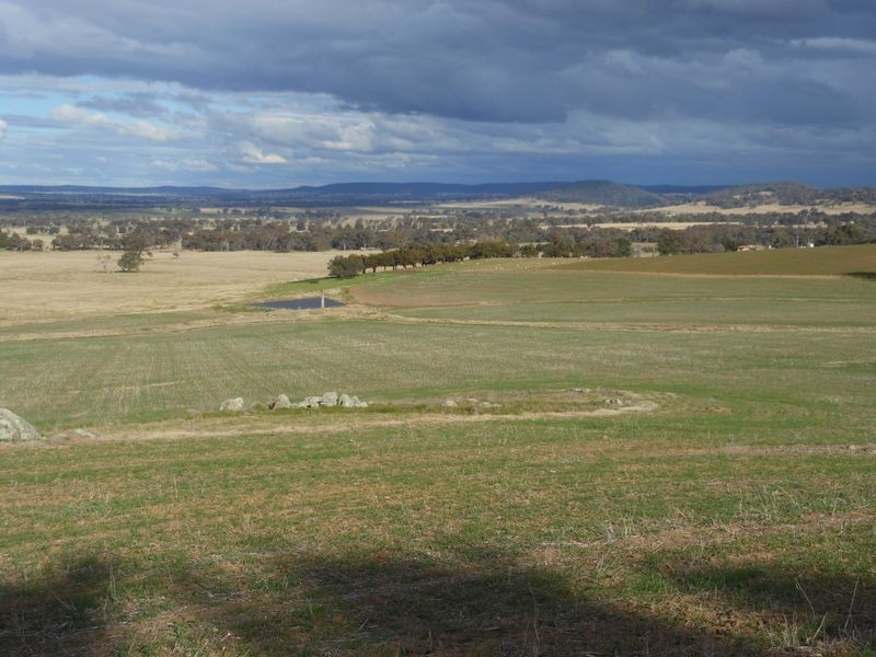 301 Robinsons Rd, Young NSW 2594