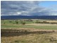 301 Robinsons Rd, Young NSW 2594