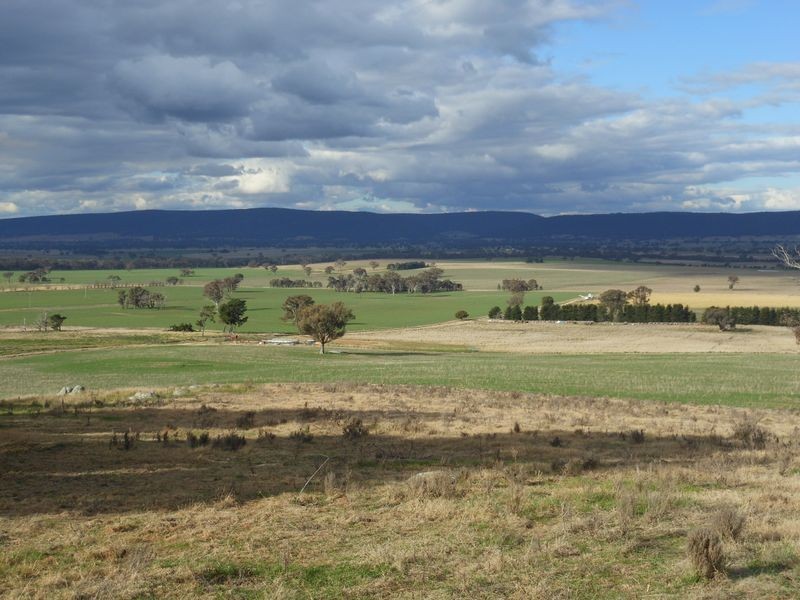 301 Robinsons Rd, Young NSW 2594