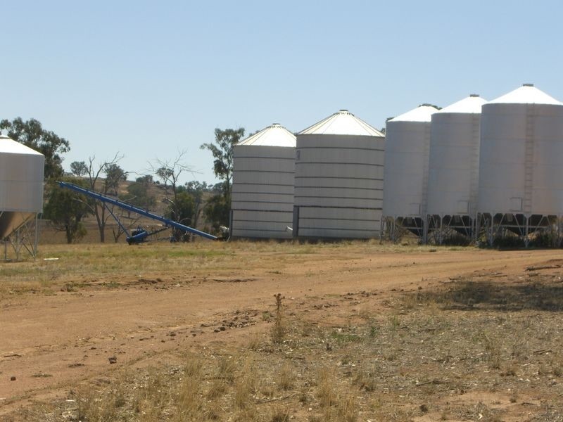 Wirruna Jenkins Road Tubbul, Young NSW 2594