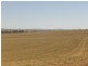 Wirruna Jenkins Road Tubbul, Young NSW 2594