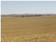 Wirruna Jenkins Road Tubbul, Young NSW 2594