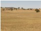 Wirruna Jenkins Road Tubbul, Young NSW 2594
