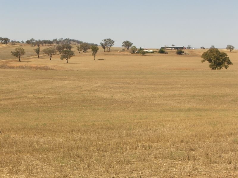 Wirruna Jenkins Road Tubbul, Young NSW 2594