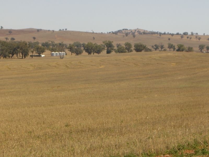 Wirruna Jenkins Road Tubbul, Young NSW 2594