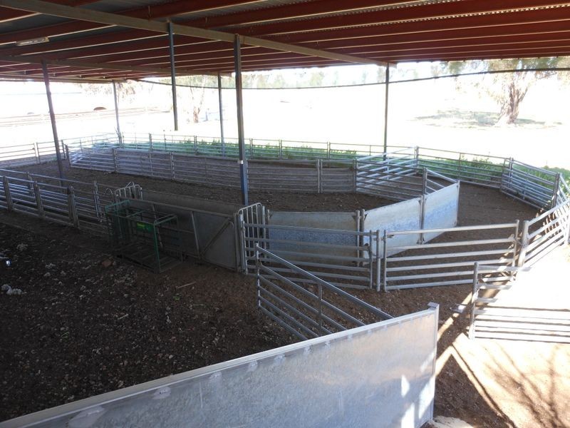 00 Merringreen, Young NSW 2594