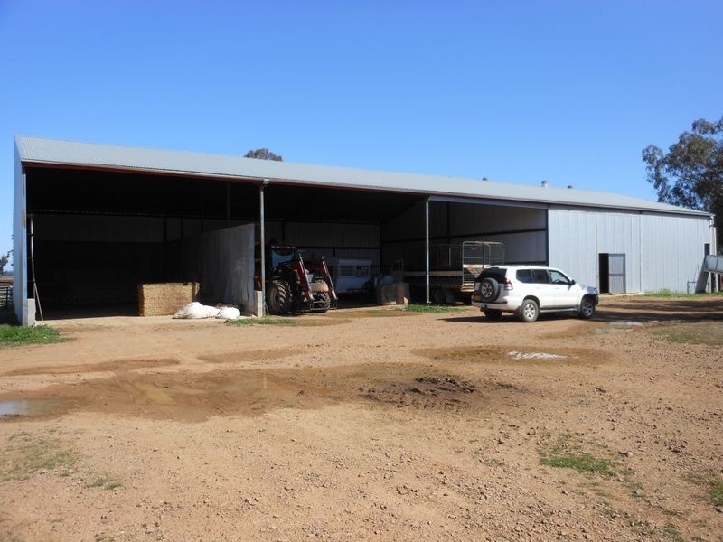 00 Merringreen, Young NSW 2594