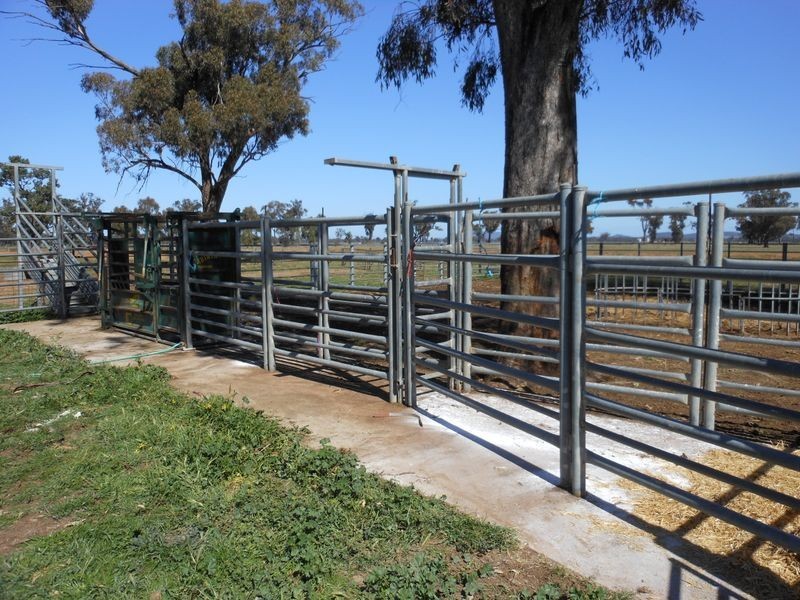 00 Merringreen, Young NSW 2594