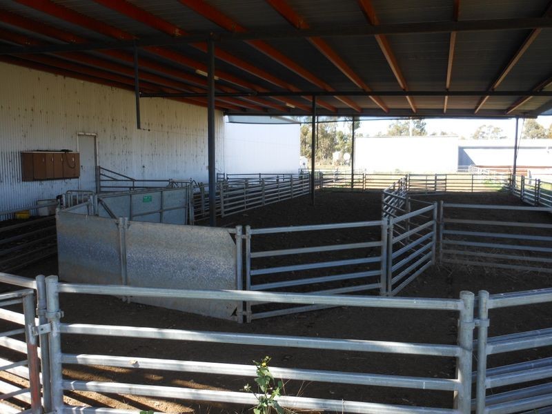 00 Merringreen, Young NSW 2594