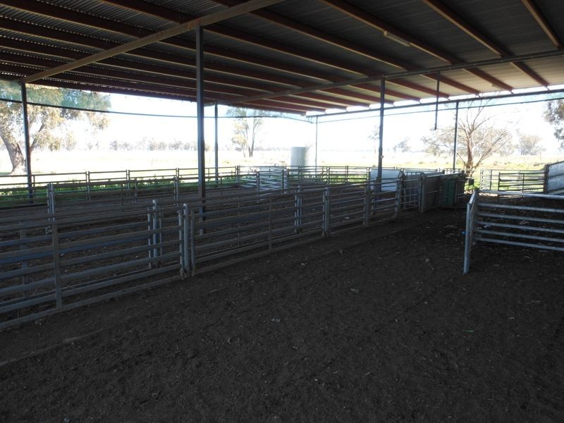 00 Merringreen, Young NSW 2594