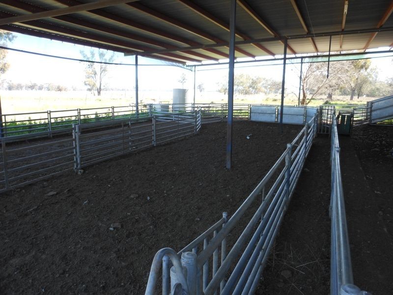 00 Merringreen, Young NSW 2594