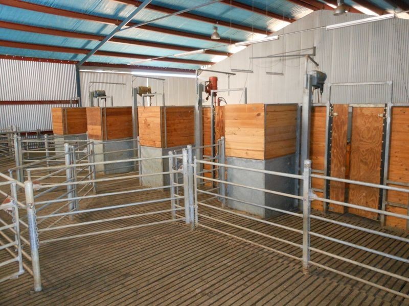 00 Merringreen, Young NSW 2594