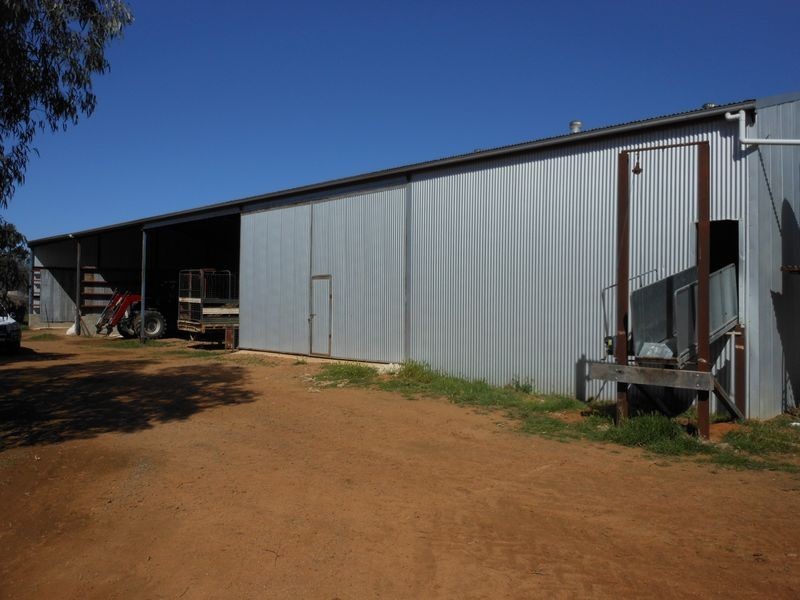 00 Merringreen, Young NSW 2594