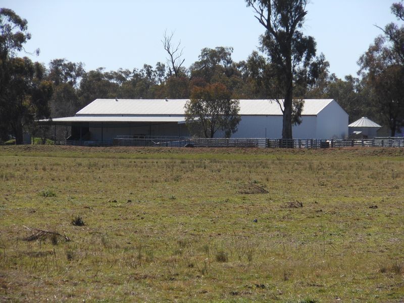 00 Merringreen, Young NSW 2594