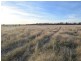 54 Silo Road, Young NSW 2594