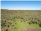 54 Silo Road, Young NSW 2594