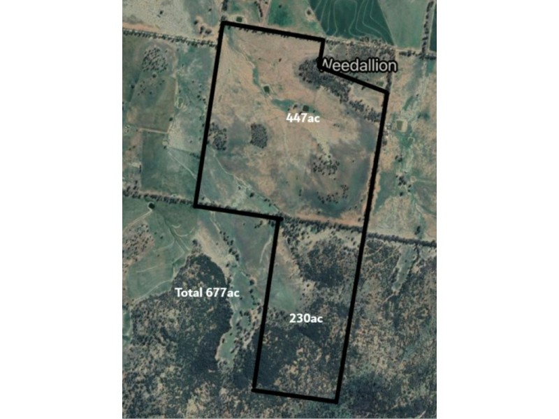 54 Silo Road, Young NSW 2594