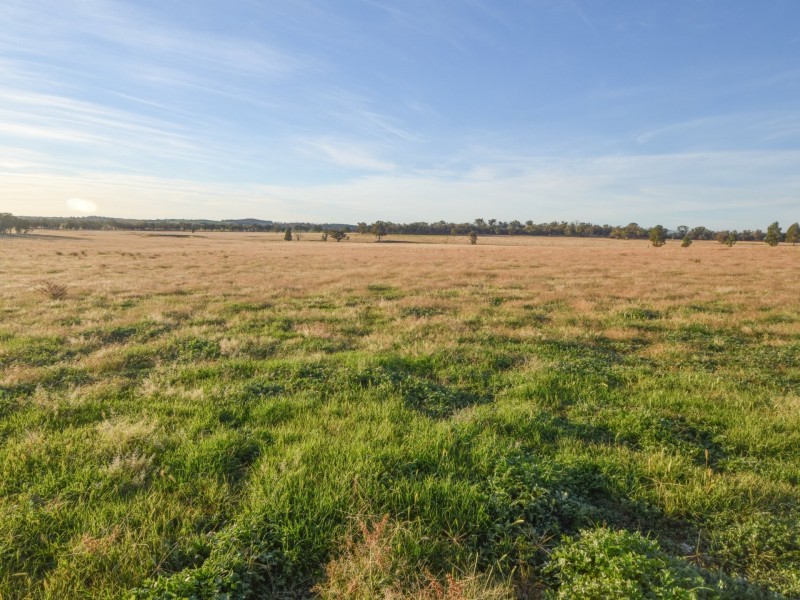 54 Silo Road, Young NSW 2594