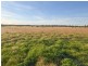 54 Silo Road, Young NSW 2594