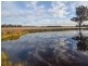54 Silo Road, Young NSW 2594