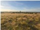 54 Silo Road, Young NSW 2594