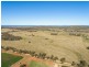 54 Silo Road, Young NSW 2594
