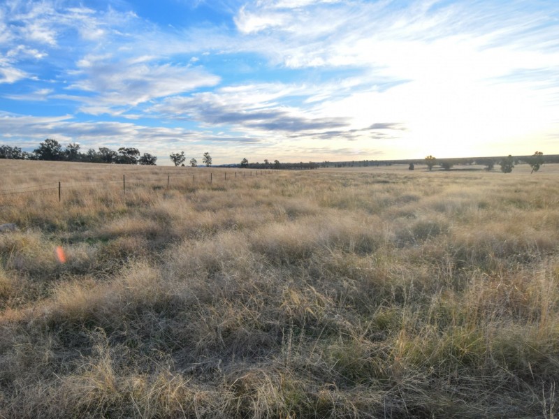 54 Silo Road, Young NSW 2594