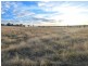 54 Silo Road, Young NSW 2594
