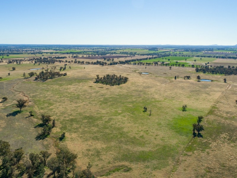 54 Silo Road, Young NSW 2594