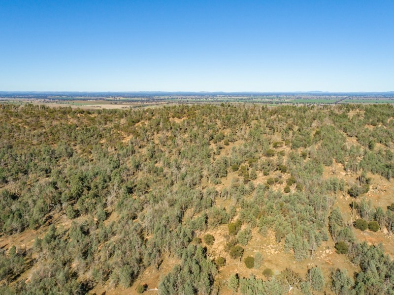 54 Silo Road, Young NSW 2594