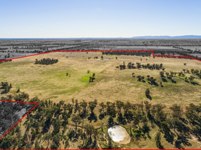 54 Silo Road, Young NSW 2594