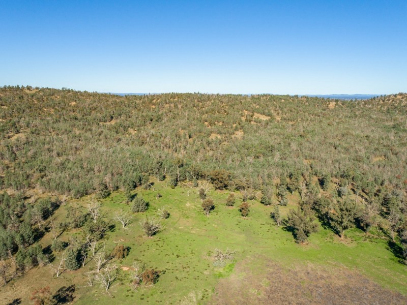 54 Silo Road, Young NSW 2594