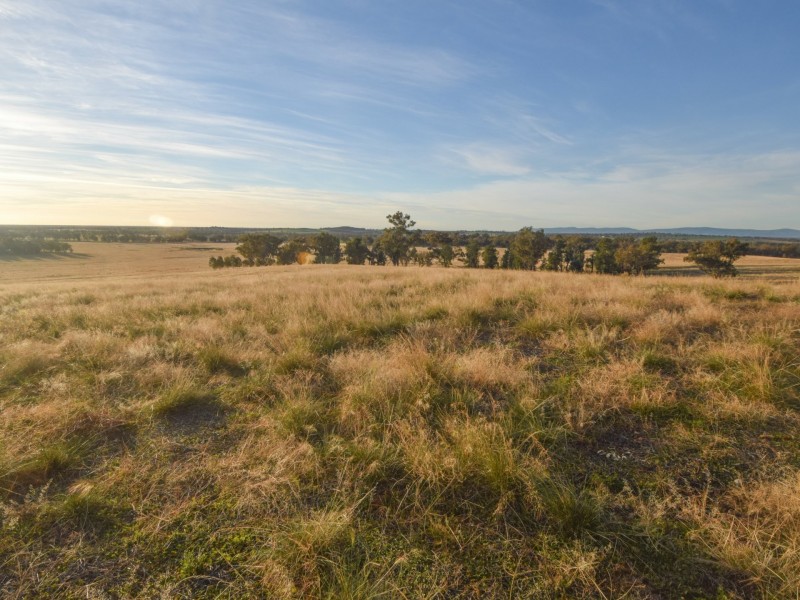 54 Silo Road, Young NSW 2594