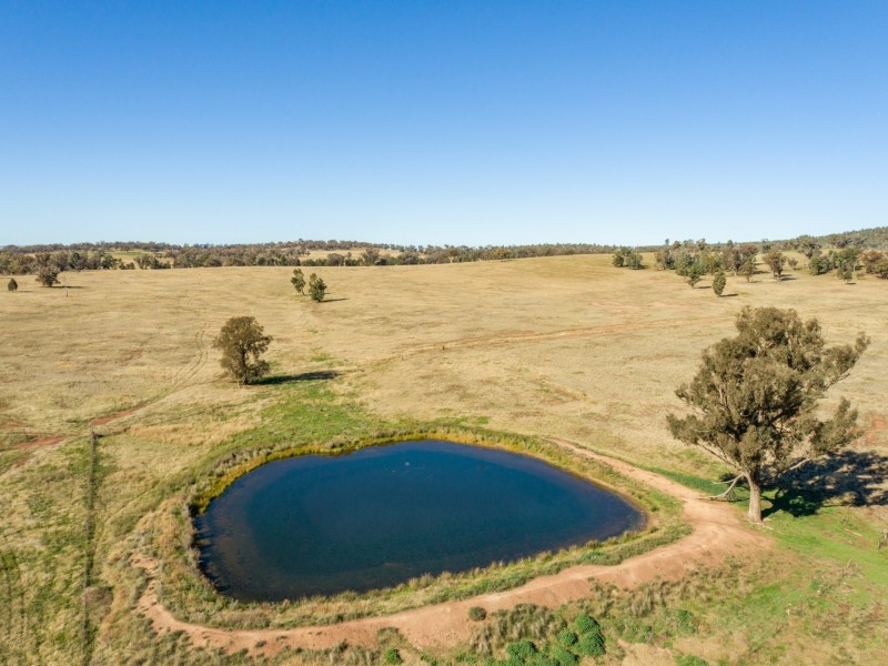 54 Silo Road, Young NSW 2594