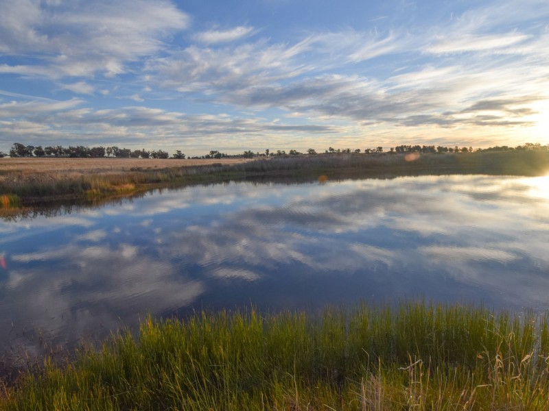 54 Silo Road, Young NSW 2594