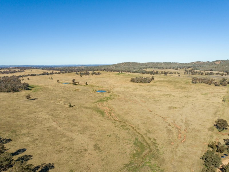 54 Silo Road, Young NSW 2594