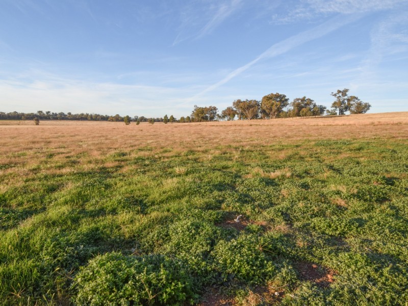 54 Silo Road, Young NSW 2594