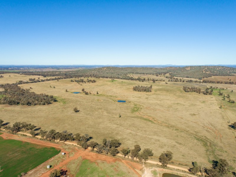 54 Silo Road, Young NSW 2594