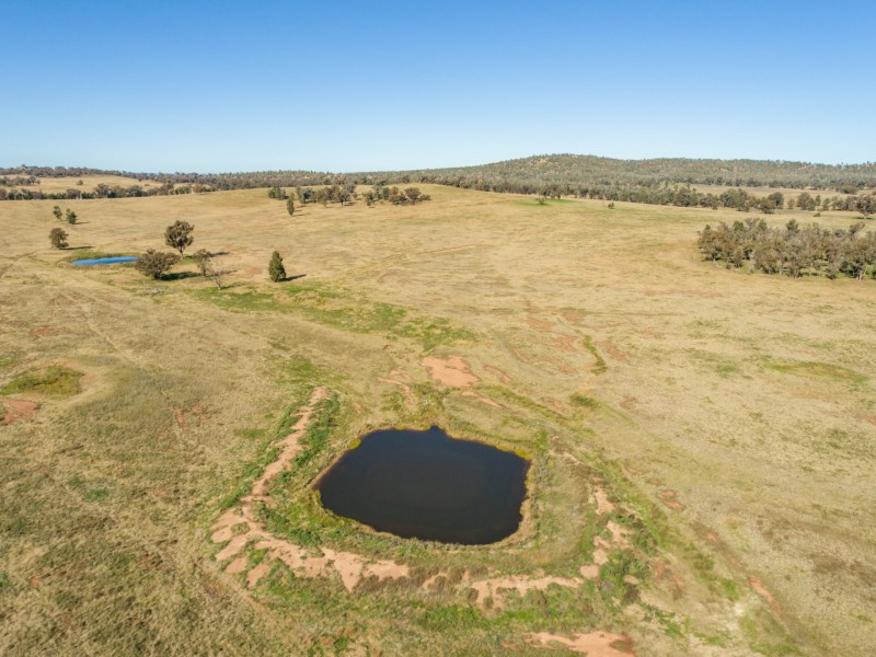 54 Silo Road, Young NSW 2594