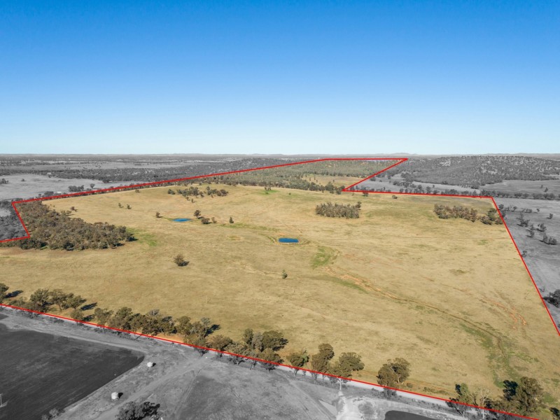 54 Silo Road, Young NSW 2594