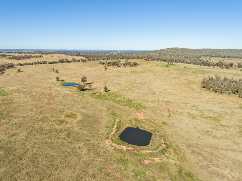 54 Silo Road, Young NSW 2594
