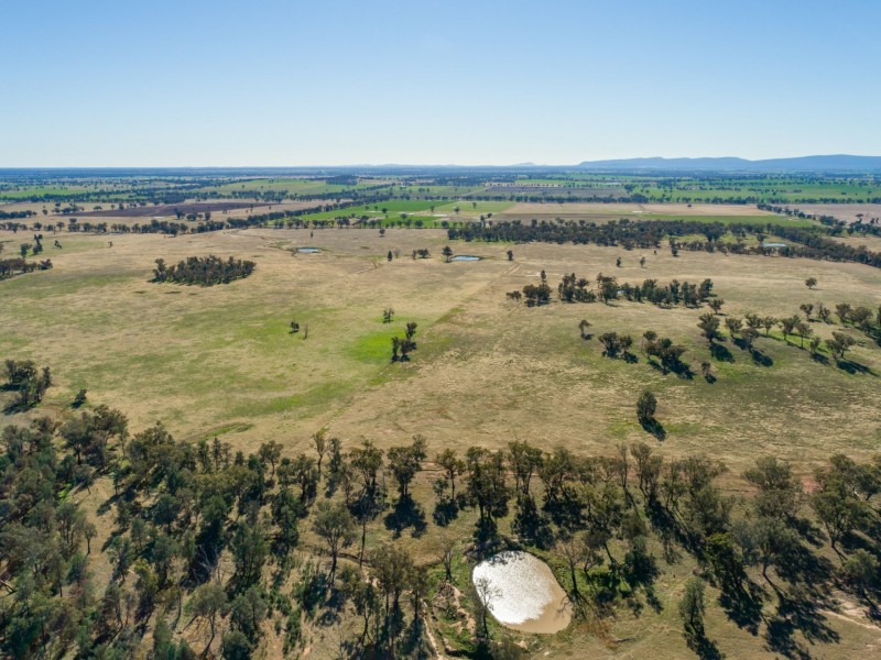 54 Silo Road, Young NSW 2594