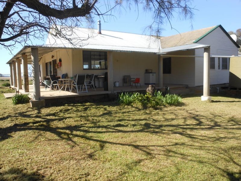 00 Wongalilli, Young NSW 2594