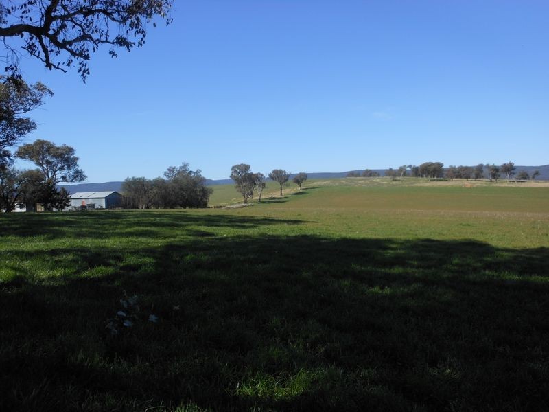 00 Wongalilli, Young NSW 2594