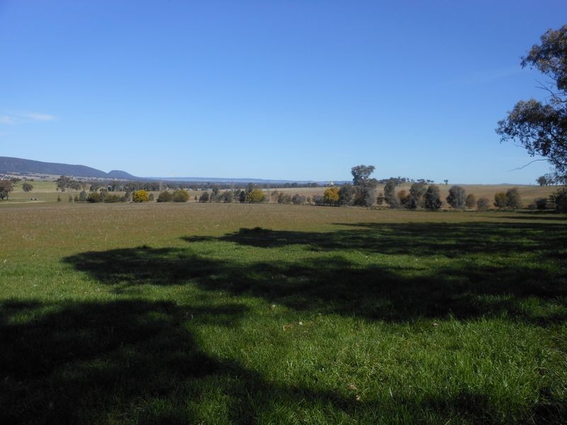 00 Wongalilli, Young NSW 2594